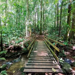 Los Cusingos Wildlife Refuge - Perez Zeledon