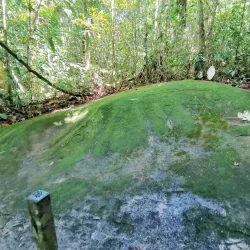 Los Cusingos Wildlife Refuge - Perez Zeledon