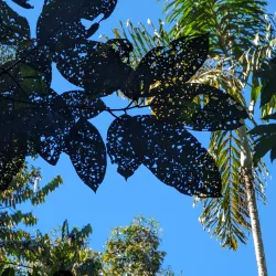 Los Cusingos Wildlife Refuge - Perez Zeledon
