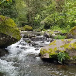 Rio Savegre - Perez Zeledon