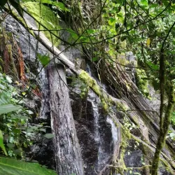 Rio Savegre - Perez Zeledon