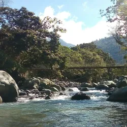 Rio Savegre - Perez Zeledon