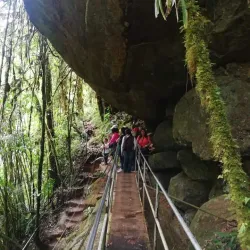 Rio Savegre - Perez Zeledon