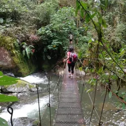 Rio Savegre - Perez Zeledon