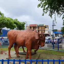 San Isidro de El General Central Park - Perez Zeledon