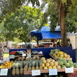 Coco Farmers Market - Playa del Coco