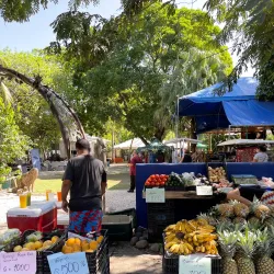 Coco Farmers Market - Playa del Coco