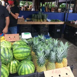 Coco Farmers Market - Playa del Coco
