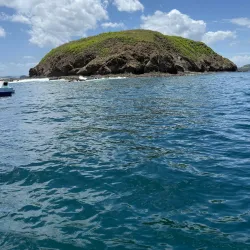 Coco View Dive Center - Playa del Coco