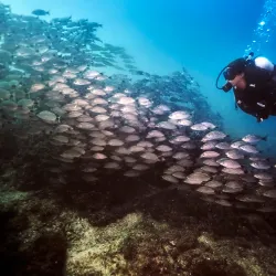 Coco View Dive Center - Playa del Coco