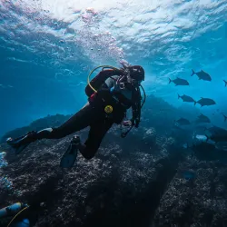 Coco View Dive Center - Playa del Coco