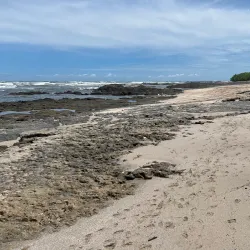 Las Baulas National Marine Park - Playa del Coco