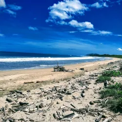 Las Baulas National Marine Park - Playa del Coco