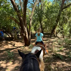 Monkey Park - Playa del Coco