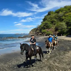 Monkey Park - Playa del Coco