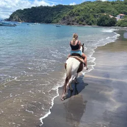 Monkey Park - Playa del Coco