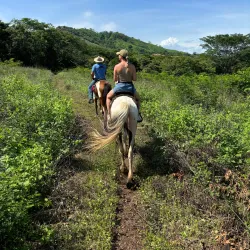 Monkey Park - Playa del Coco
