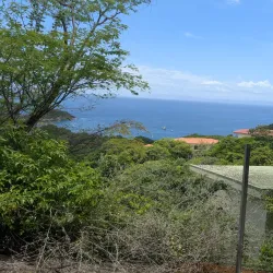 Monkey Park - Playa del Coco