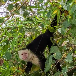 Palo Verde National Park - Playa del Coco