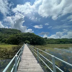 Palo Verde National Park - Playa del Coco