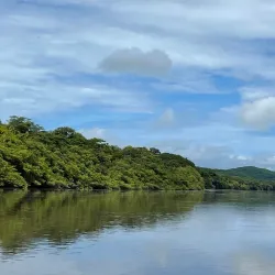 Palo Verde National Park - Playa del Coco