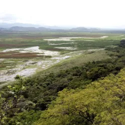 Palo Verde National Park - Playa del Coco