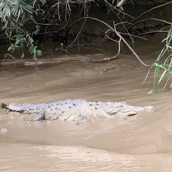 Palo Verde National Park - Playa del Coco