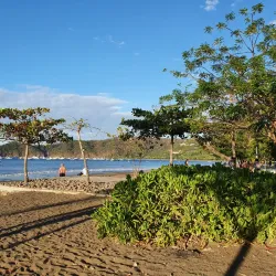 Playa del Coco Beach - Playa del Coco