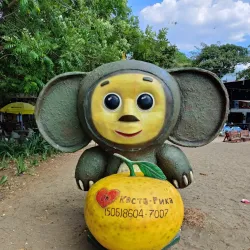 Playa del Coco Beach - Playa del Coco