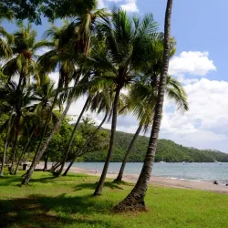Playa Hermosa - Playa del Coco