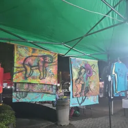 Flamingo Farmers Market - Playa Flamingo