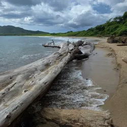 Las Baulas National Marine Park - Playa Flamingo