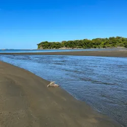 Potrero Beach - Playa Flamingo