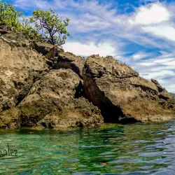 Scuba Diving and Snorkeling Tours - Playa Flamingo