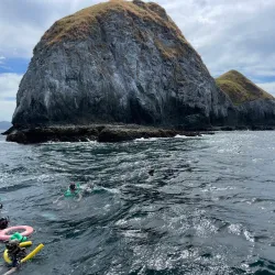 Scuba Diving and Snorkeling Tours - Playa Flamingo