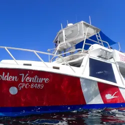 Scuba Diving and Snorkeling Tours - Playa Flamingo