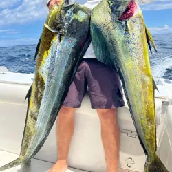 Sport Fishing Charters - Playa Flamingo
