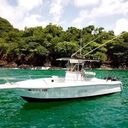 Sport Fishing Charters - Playa Flamingo