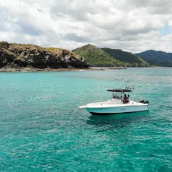 Sport Fishing Charters - Playa Flamingo