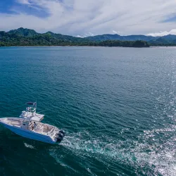 Sport Fishing Charters - Playa Flamingo