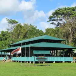 Bird Watching Tours - Puerto Jimenez (Puerto Jiménez)