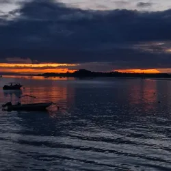 Bird Watching Tours - Puerto Jimenez (Puerto Jiménez)