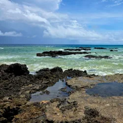 Cano Island Biological Reserve - Puerto Jimenez (Puerto Jiménez)