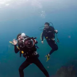 Cano Island Biological Reserve - Puerto Jimenez (Puerto Jiménez)