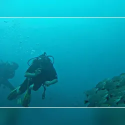 Cano Island Biological Reserve - Puerto Jimenez (Puerto Jiménez)