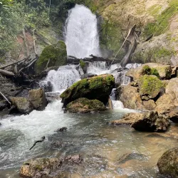 Corcovado National Park - Puerto Jimenez (Puerto Jiménez)