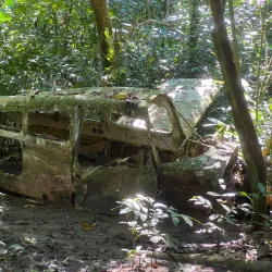 Corcovado National Park - Puerto Jimenez (Puerto Jiménez)