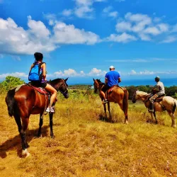 Horseback Riding Tours - Puerto Jimenez (Puerto Jiménez)
