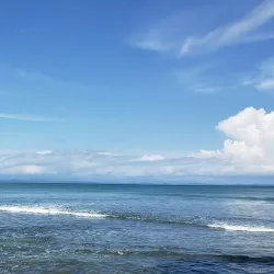 Horseback Riding Tours - Puerto Jimenez (Puerto Jiménez)