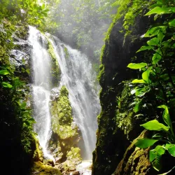 Horseback Riding Tours - Puerto Jimenez (Puerto Jiménez)